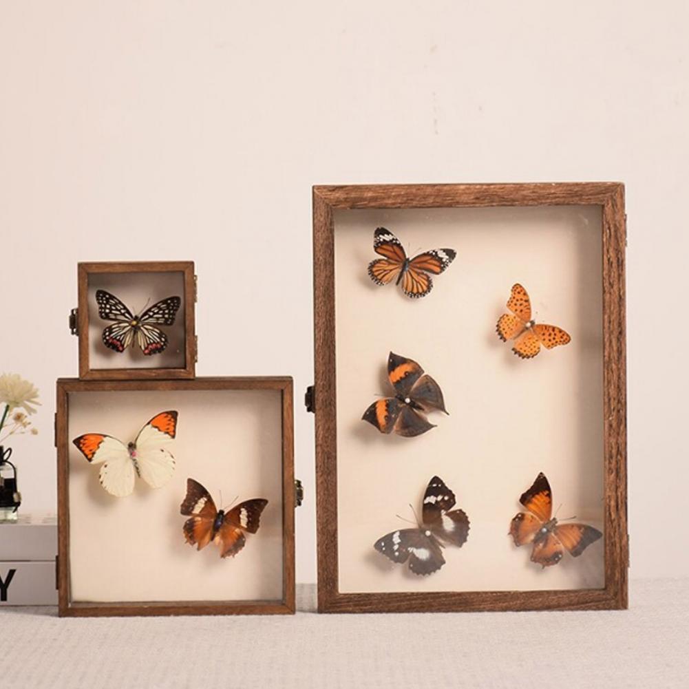 Insect Hotel Wood - 대형 곤충 표본 보관 나무 디스플레이