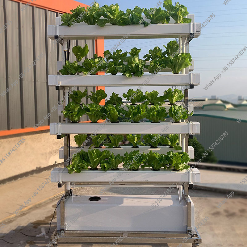 Smart Garden Vertical Planter - 수경재배 시스템 채소 딸기 재배 스마트