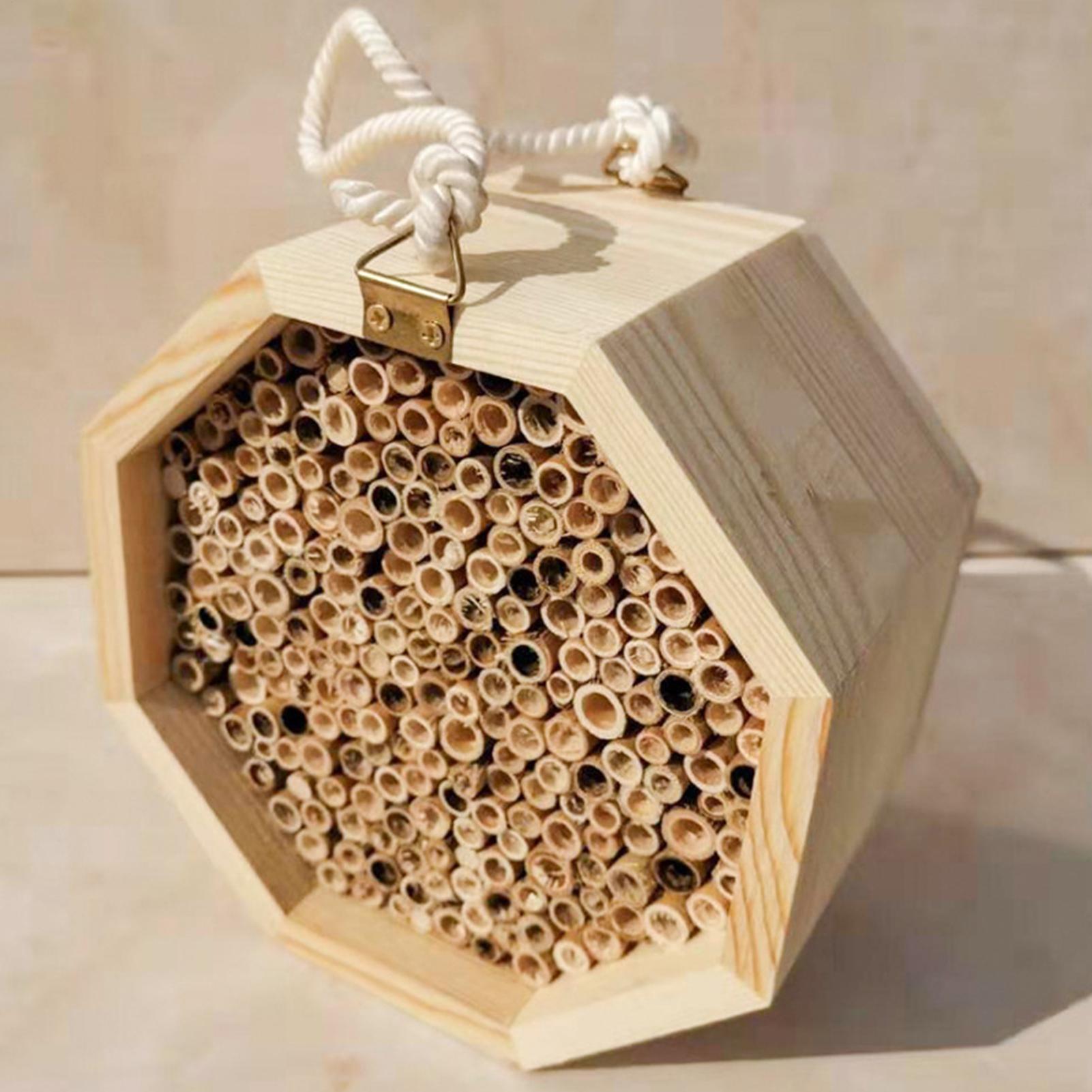 Insect Hotel Wood - 나무 곤충집 벌집 모형 나무 벌레집