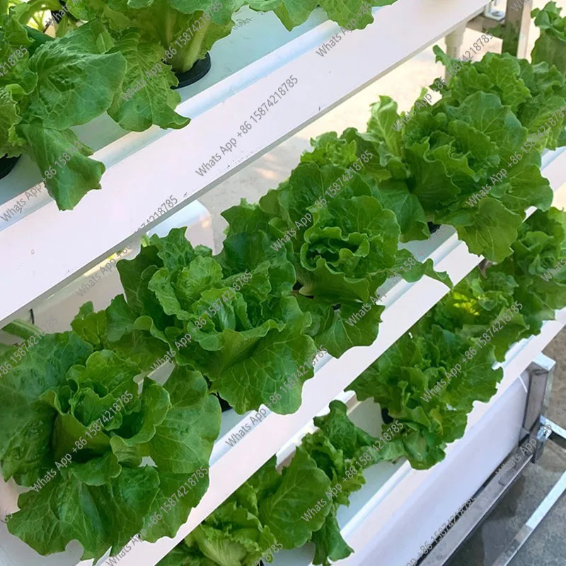 수경재배 시스템 채소 딸기 재배 스마트 실내 플랜터 수 - Smart Garden Vertical Planter 리뷰 및 가격