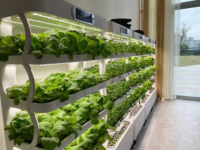 수직 온실 완전 수경 재배 시스템 실내 인기 정원 플랜 - Smart Garden Vertical Planter 리뷰 및 가격