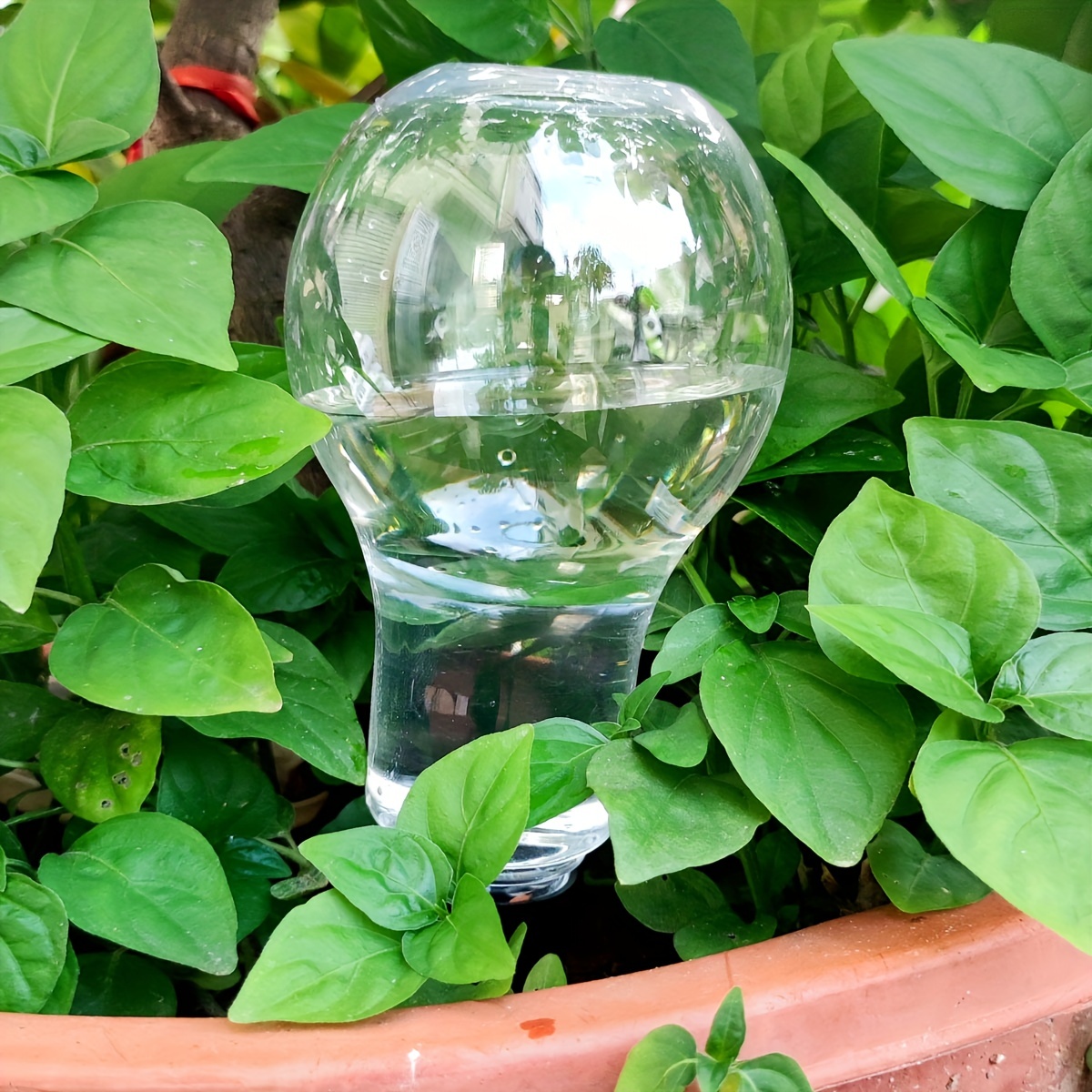 정원 자동 급수 도구 실내 물방울 관개 집 식물에 대한 - Smart Garden Watering System 리뷰 및 가격