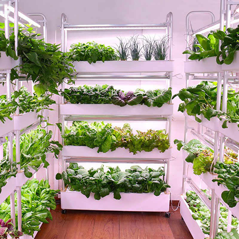수직 수경 재배 시스템, 스마트 실내 수경 재배, 정원 - Smart Garden Vertical Planter 리뷰 및 가격