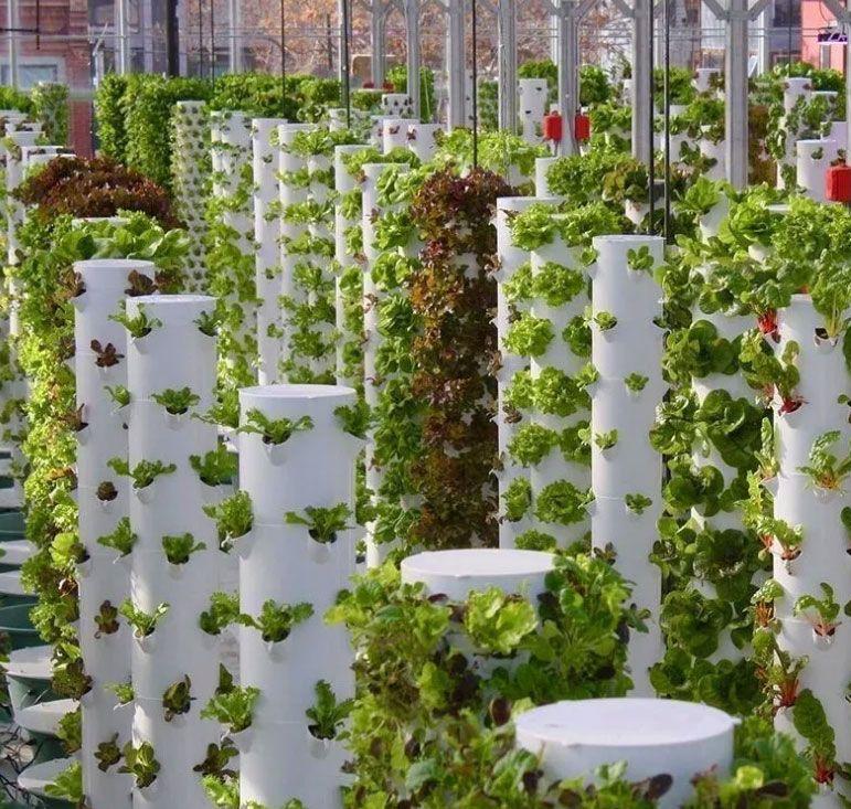실내 스마트 가든 키트 30개 식물 수직 수경재배 타워 - Smart Garden Vertical Planter 리뷰 및 가격