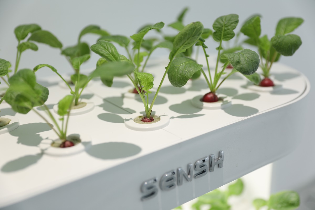 스마트 홈 수경 재배 정원 키트 (LED 조명, 수직형 - Smart Garden Vertical Planter 리뷰 및 가격