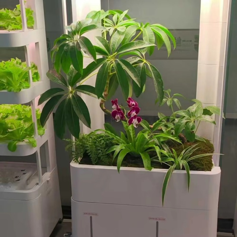 시다 실내 수직 수경 재배 시스템, 스마트 가든 플랜터 - Smart Garden Vertical Planter 리뷰 및 가격
