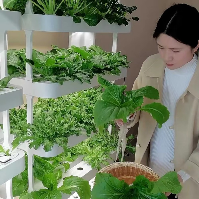 시다 실내 수직 수경 재배 시스템, 스마트 가든 플랜터 - Smart Garden Vertical Planter 리뷰 및 가격