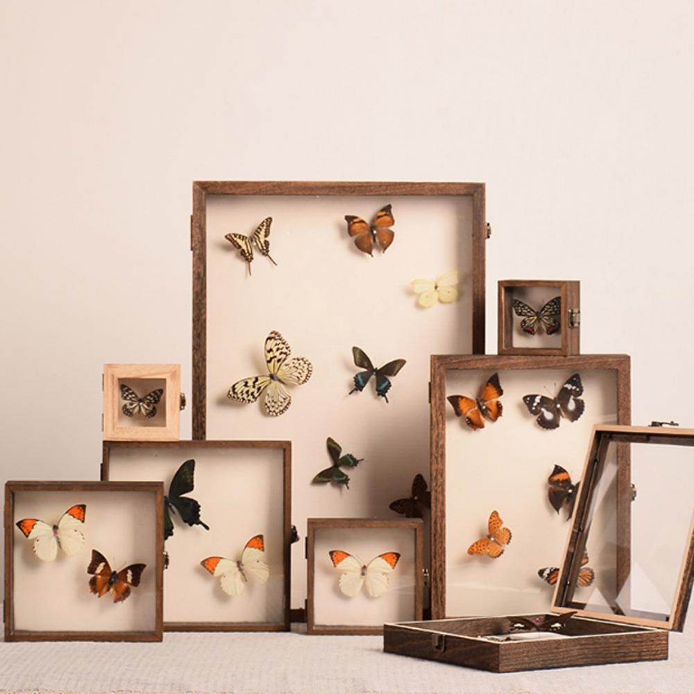 대형 곤충 표본 보관 나무 디스플레이 케이스, 나비 그 - Insect Hotel Wood 리뷰 및 가격