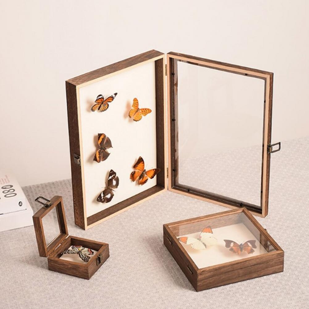 대형 곤충 표본 보관 나무 디스플레이 케이스, 나비 그 - Insect Hotel Wood 리뷰 및 가격