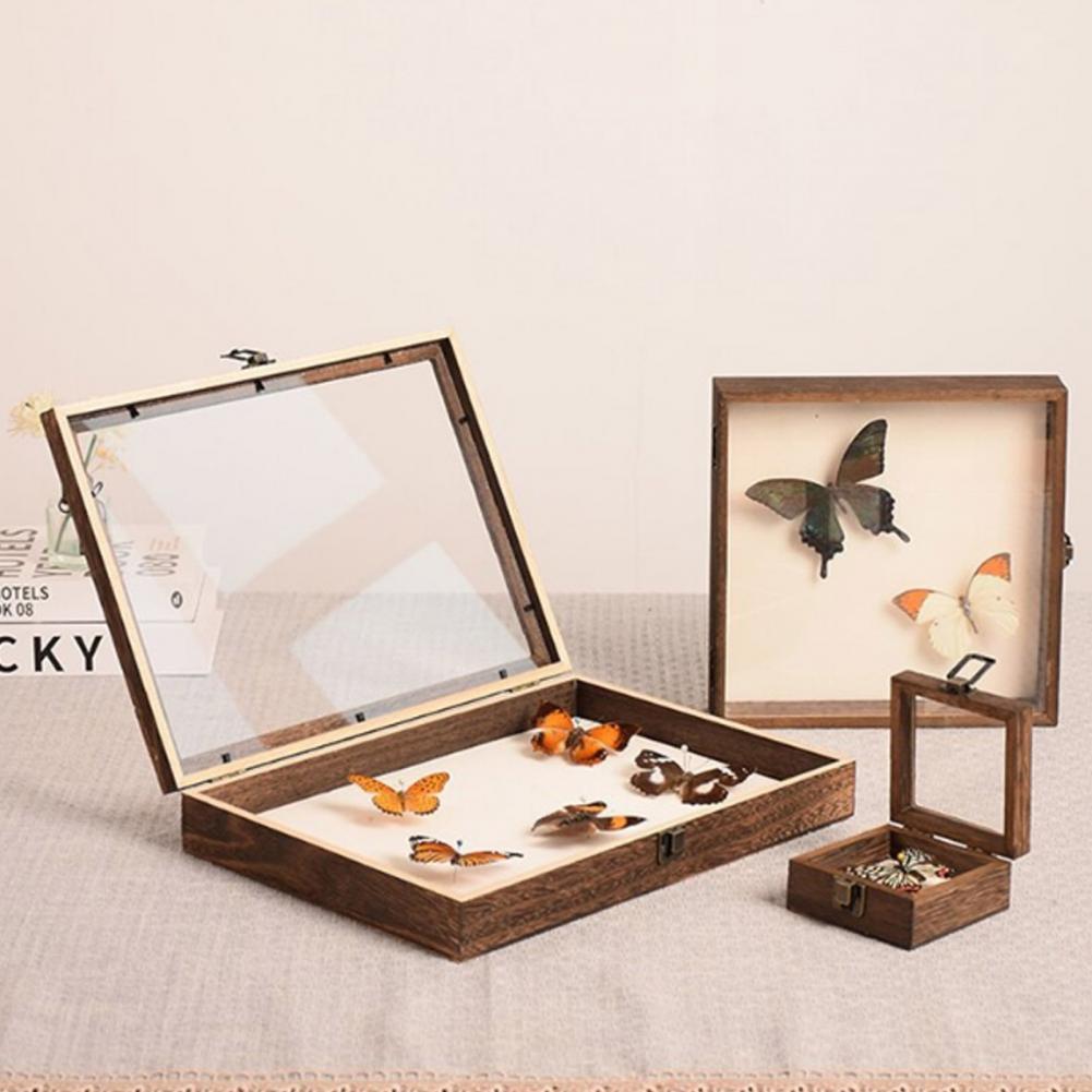 대형 곤충 표본 보관 나무 디스플레이 케이스, 나비 그 - Insect Hotel Wood 리뷰 및 가격