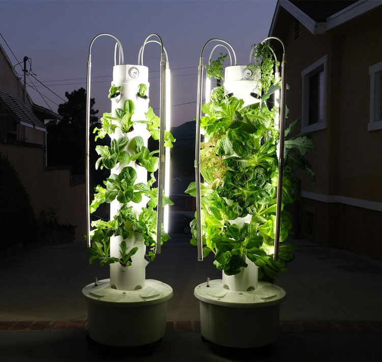 수경재배 타워 실내 재배 시스템 수직 정원 플랜터 실내 - Smart Garden Vertical Planter 리뷰 및 가격