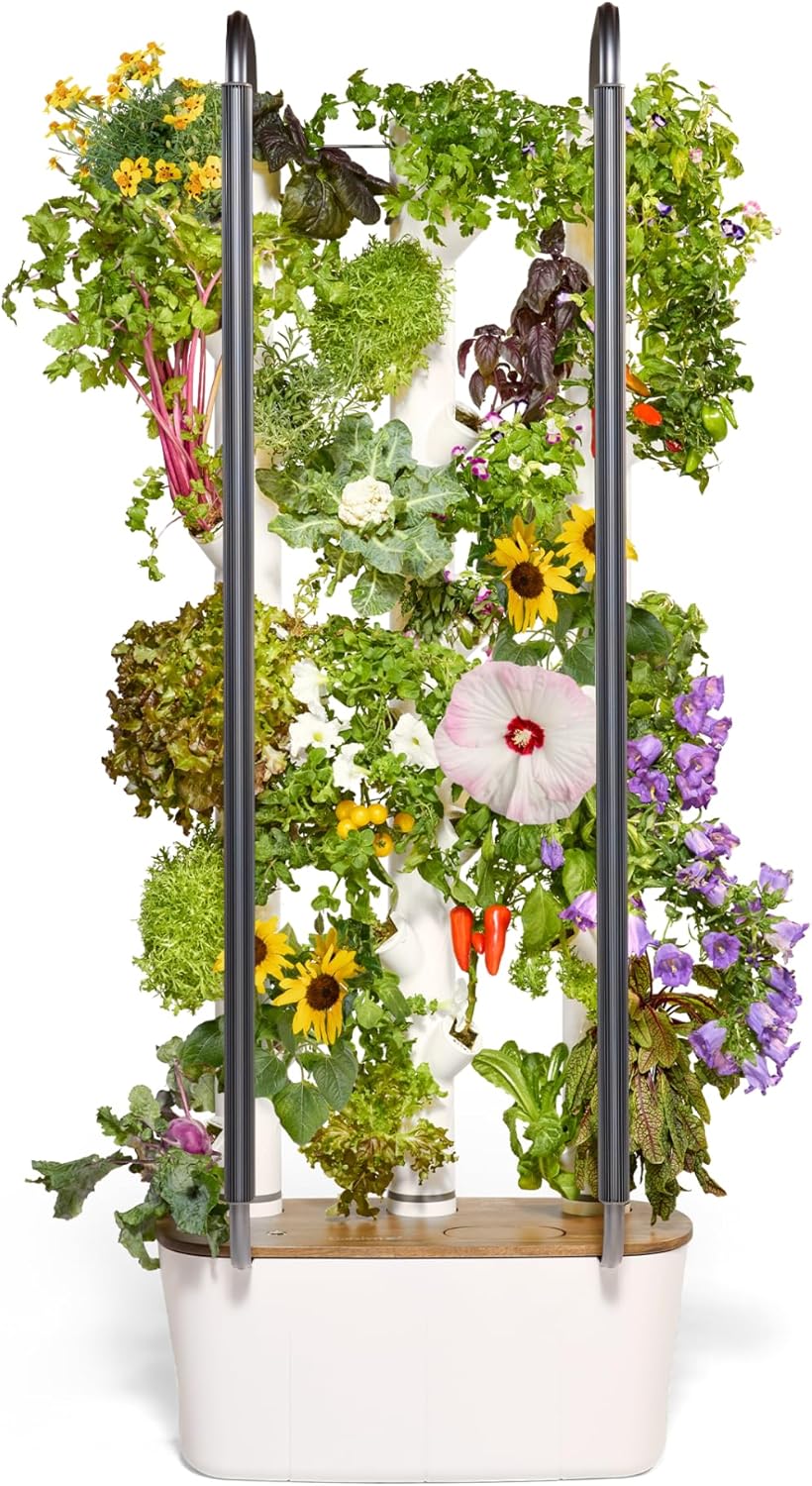 스마트 실내 정원 시스템 상업용 수직 농업 30종 비유 - Smart Garden Vertical Planter 리뷰 및 가격