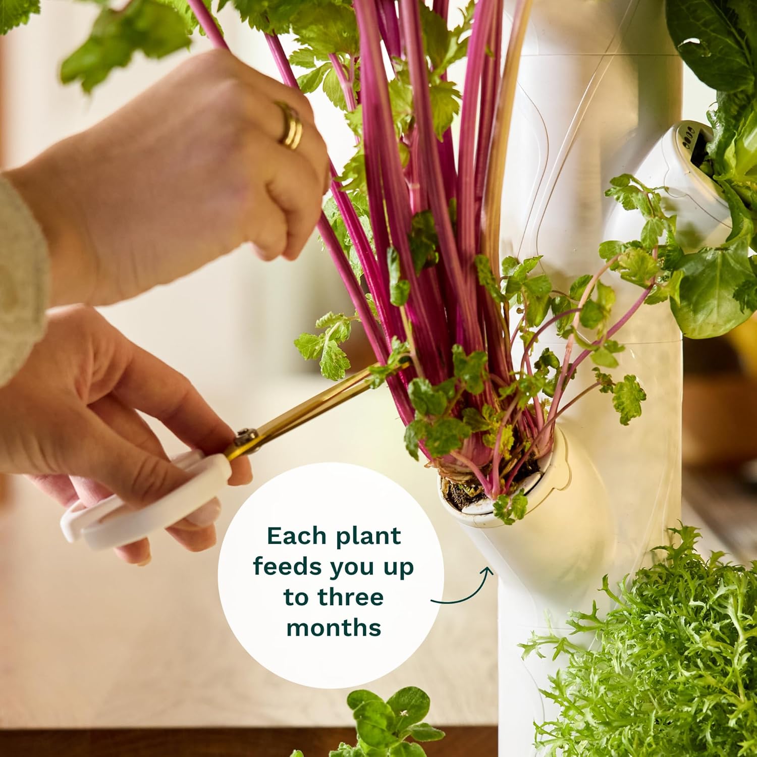 스마트 실내 정원 시스템 상업용 수직 농업 30종 비유 - Smart Garden Vertical Planter 리뷰 및 가격