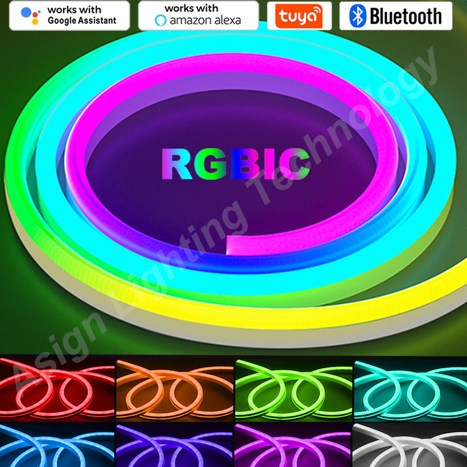 RGBIC LED 네온 스트립 12V 96LED/M 원 - Smart Garden Led Lights 리뷰 및 가격