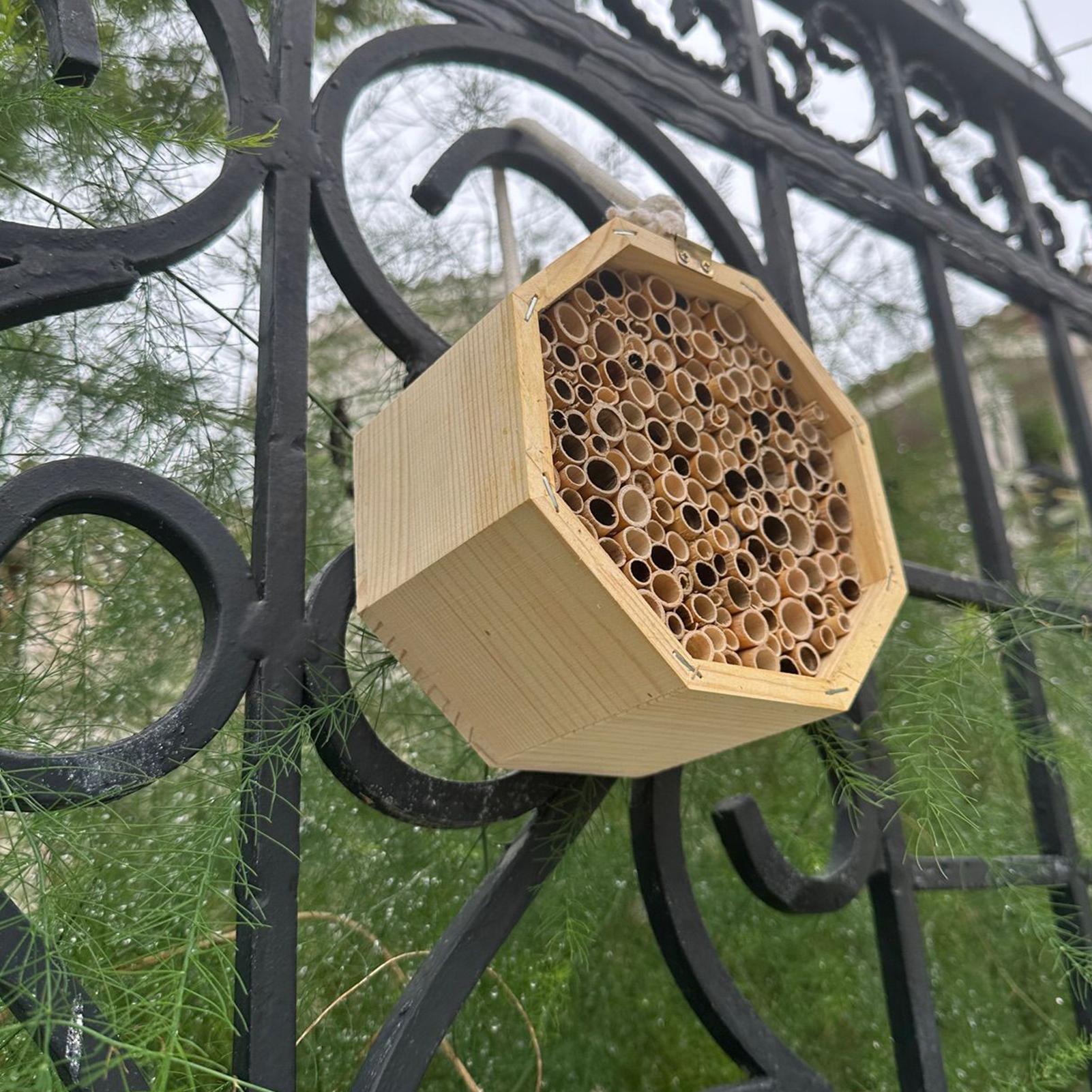 나무 곤충집 벌집 모형 나무 벌레집 호텔 둥지 상자 야 - Insect Hotel Wood 리뷰 및 가격