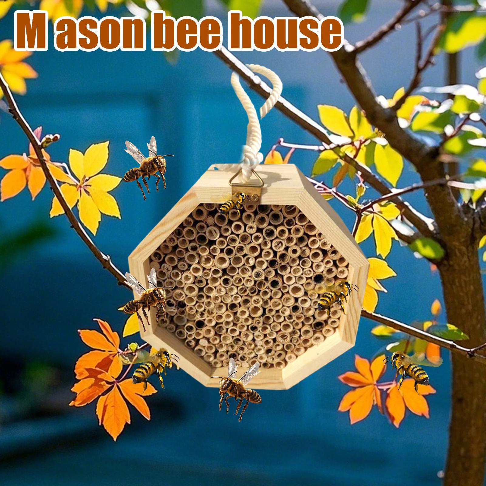 나무 곤충집 벌집 모형 나무 벌레집 호텔 둥지 상자 야 - Insect Hotel Wood 리뷰 및 가격