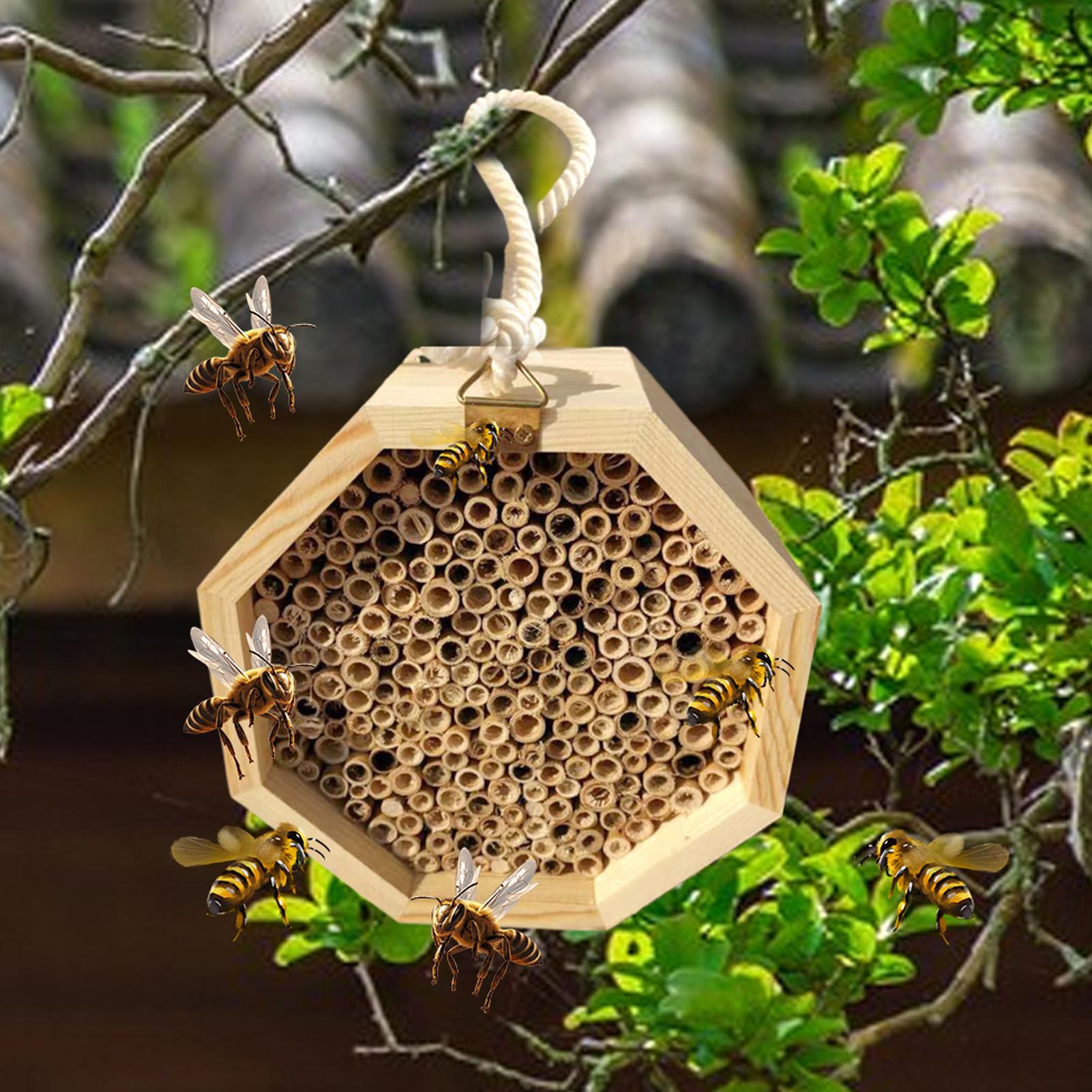 나무 곤충집 벌집 모형 나무 벌레집 호텔 둥지 상자 야 - Insect Hotel Wood 리뷰 및 가격